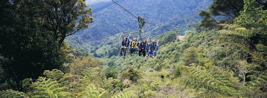 The World's longest flying fox adventure in Nelson! FIND OUT MORE